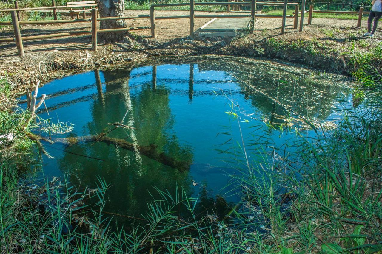 Paradise Ebro 2 Deltebre Exterior photo